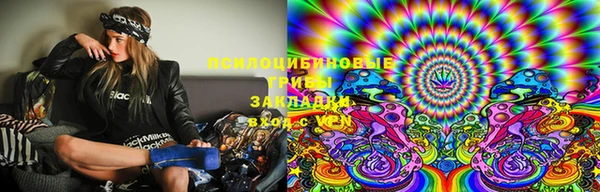 ГАЛЛЮЦИНОГЕННЫЕ ГРИБЫ Переславль-Залесский
