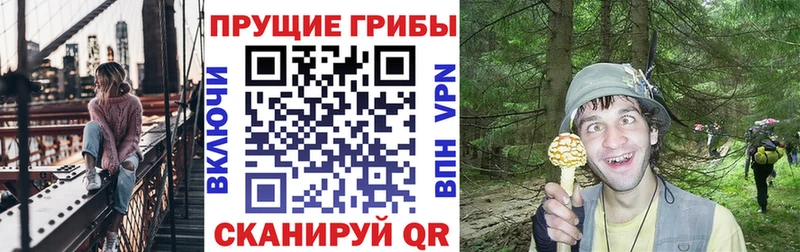 Псилоцибиновые грибы GOLDEN TEACHER  Купино 
